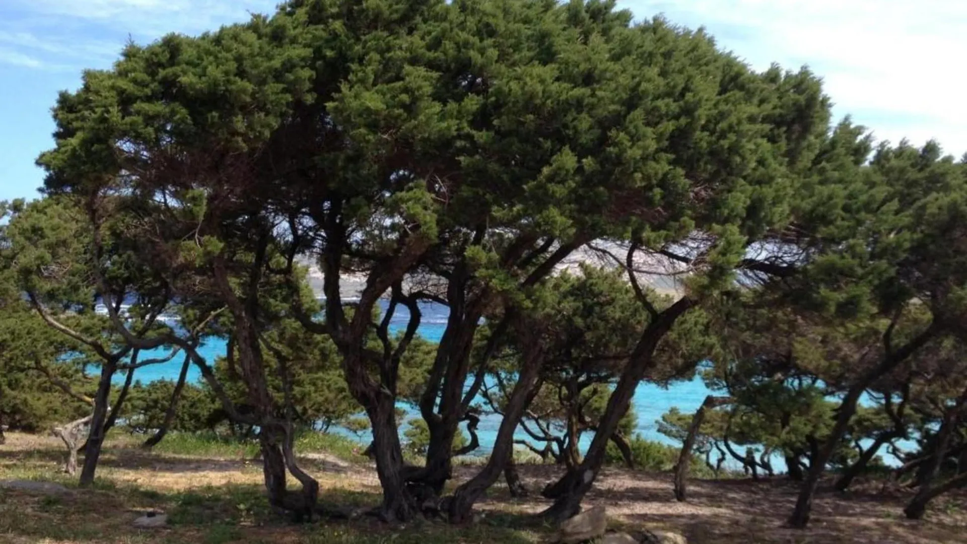 Detached Villa With Garden In Stintino Punta de su Torrione 0*,  Италия